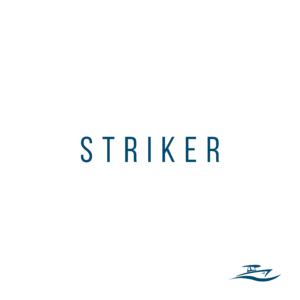 Striker